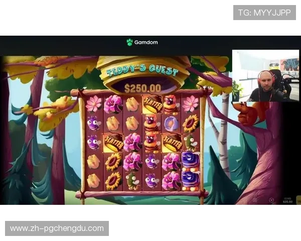 PG游戏备用平台有哪些推荐可以帮助玩家稳定体验多样化游戏内容的优质选择